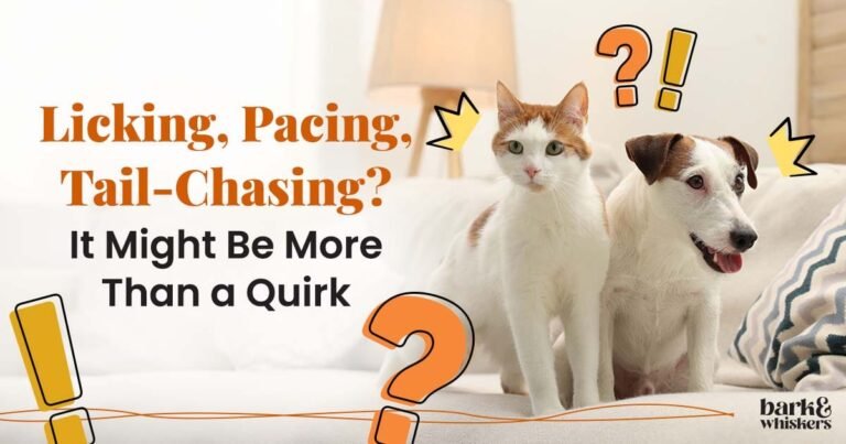 Telltale Signs Your Cat or Dog Suffers from OCD