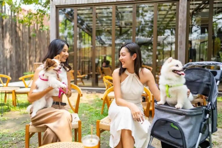 Thailand Pet Friendly, Thailand Pet Economy Boom