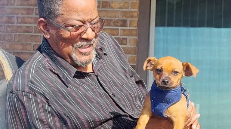 This Puppy Became Grandpa's Recovery Buddy