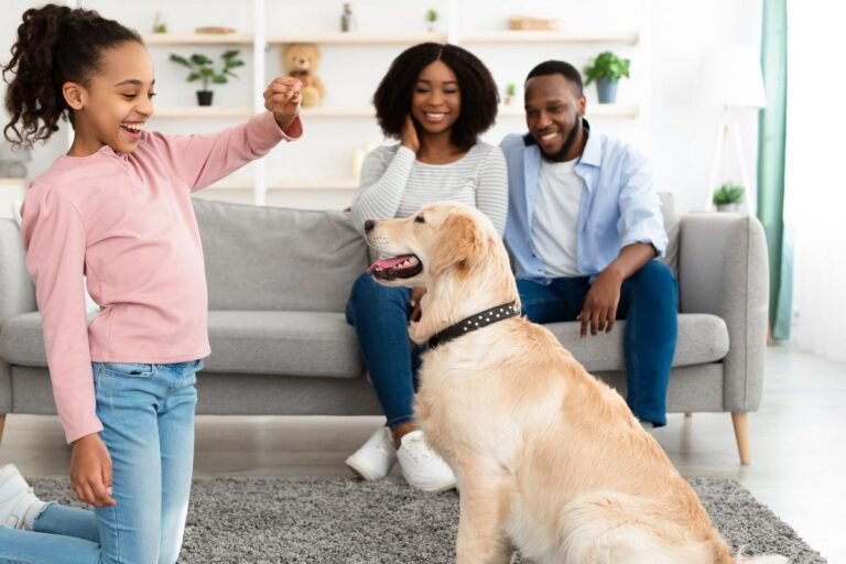 Train Your Dog Faster With These Proven Tips