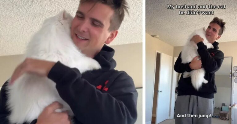 Video: Cat & Dad’s Precious Bond Will Melt Anyone’s Heart