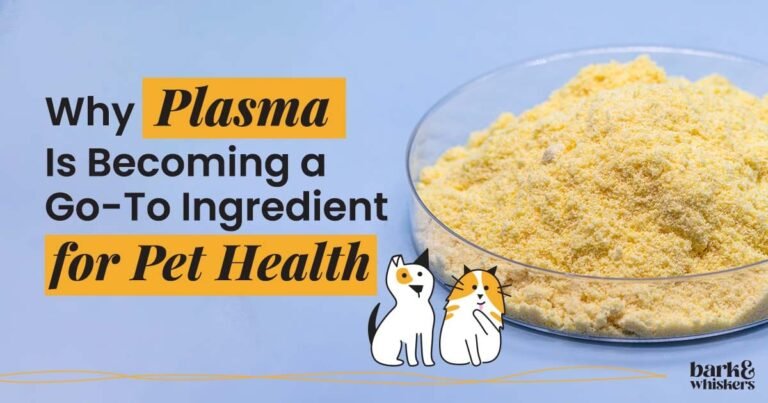 Why Plasma Is Becoming a Go-To Ingredient for Pet Health