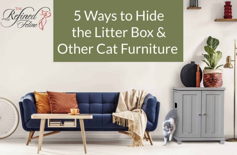 5 Ways to Hide The Litter Box and Other Cat Furniture