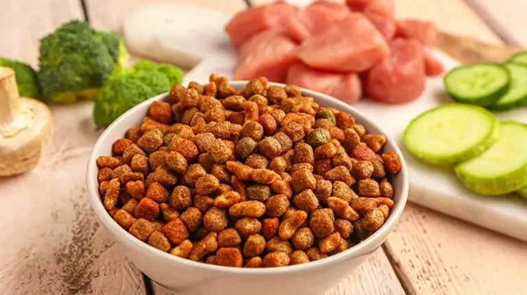 A Wolf or a Domesticated Pet