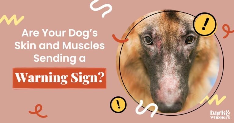 Are Your Dog's Skin and Muscles Sending a Warning Sign?