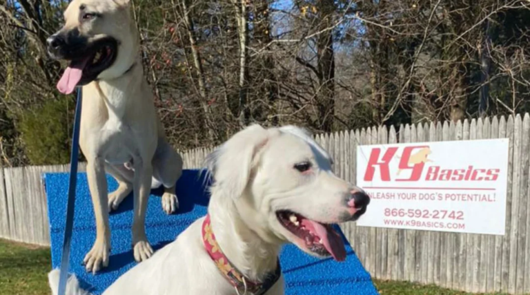 copy of blog graphics for ionut 2 (4)