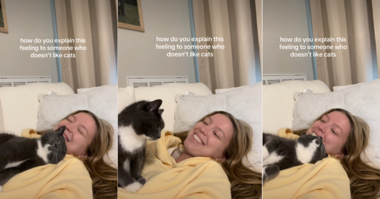 Cat Melting Into Owner for Cuddle Captures Hearts