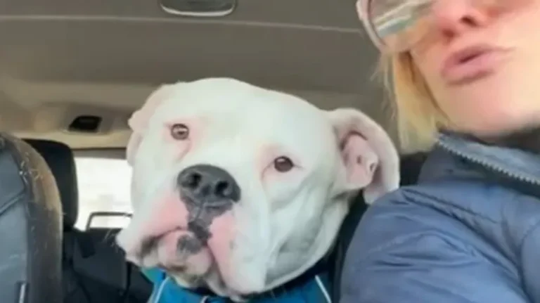 From 'Biter' to Big Marshmallow