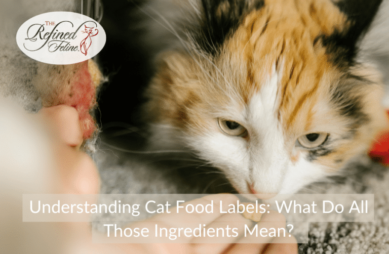 Cat Food Labels