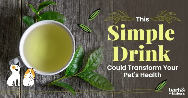 Is Green Tea Good for Pets?