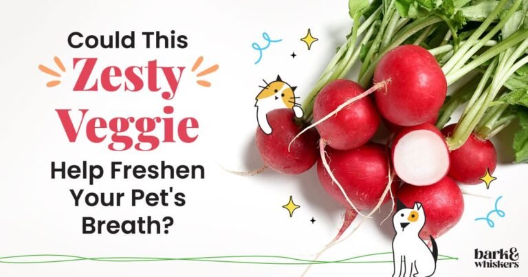 Is Radish Good for Pets?