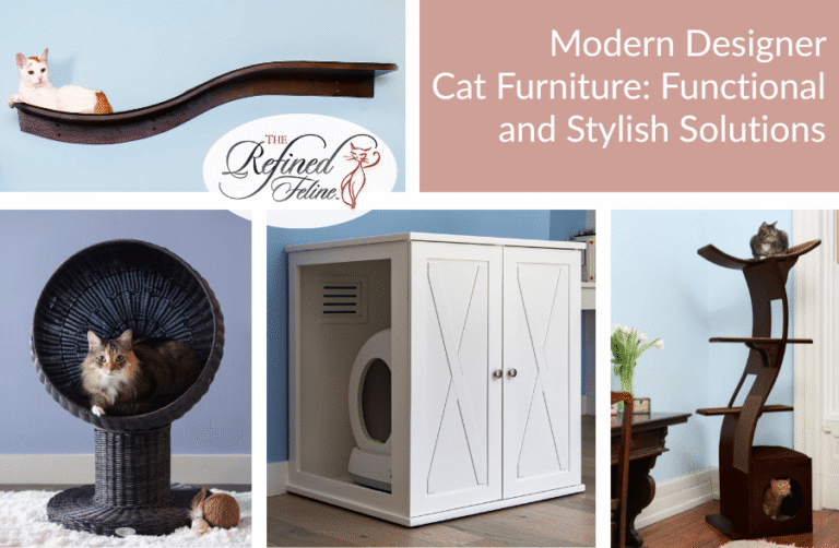 Modern Designer Cat Furniture Functional and Stylish Solutions