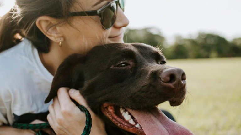 Pet Heatstroke 101: Warning Signs Every Pet Parent Must Know This Summer | Health and Fitness News MI vs SRH Live Score, IPL 2026: Follow Scorecard and match updates from Wankhede Stadium in Mumbai. (Picture Credit: Creimas)