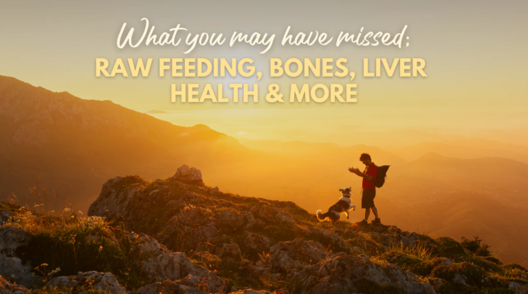 Raw Feeding, Bones, Liver Health & More – Dr. Dobias International Raw Feeding, Bones, Liver Health & More – Dr. Dobias International