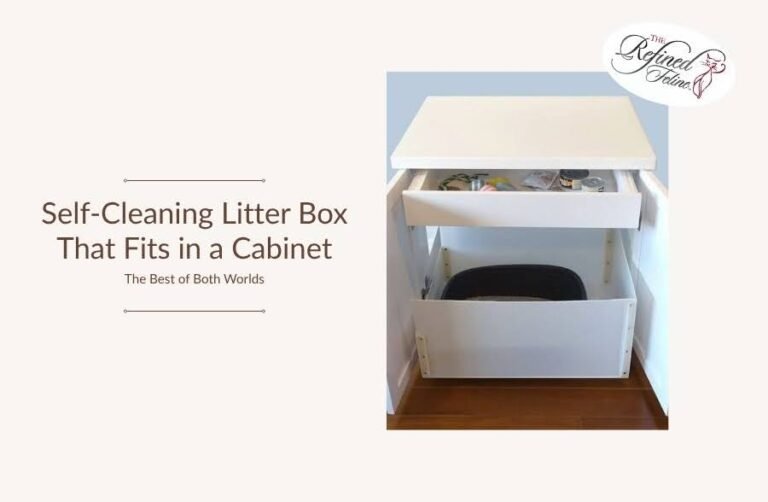 Self-Cleaning Litter Box That Fits in a Cabinet: The Best of Both Worlds