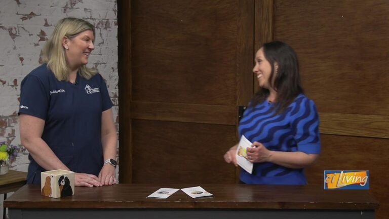 Smart Pet Care Tips Every Owner Should Know