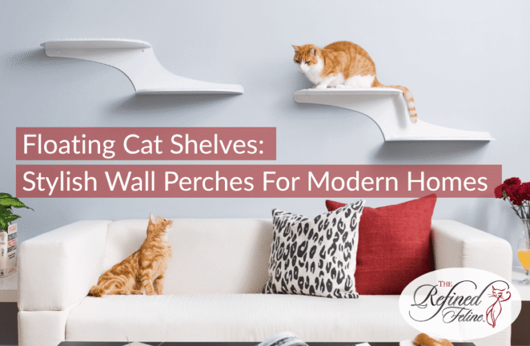 Stylish Wall Perches For Modern Homes Floating Cat Shelves
