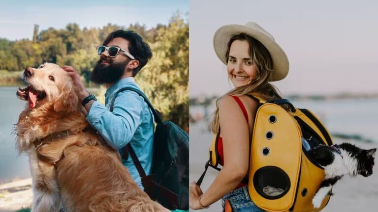 Travellers are planning holidays around their pets – Firstpost