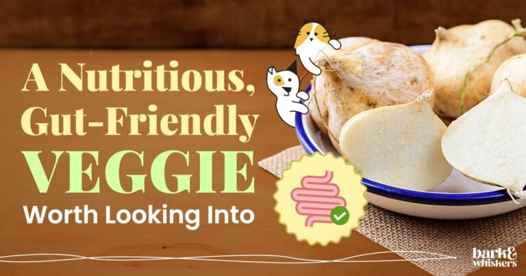 A Nutritious, Gut-Friendly Veggie Worth Looking Into A Nutritious, Gut-Friendly Veggie Worth Looking Into