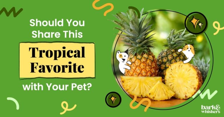 Can Dogs Eat Pineapple?