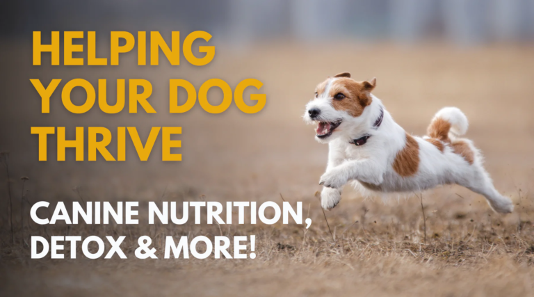 Canine Nutrition, Detox & More! – Dr. Dobias International
