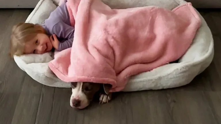 Dumped in the Cold, Saved by Kindness