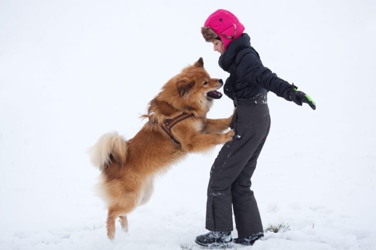 From Jumping to Calm: Teaching Your Dog How to Greet Politely