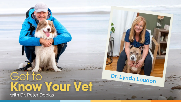Get to Know Your Vet with Dr. Lynda Loudon – Dr. Dobias International Get to Know Your Vet with Dr. Lynda Loudon – Dr. Dobias International