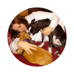 Grieving the Loss of Your Dog People Loving Animals