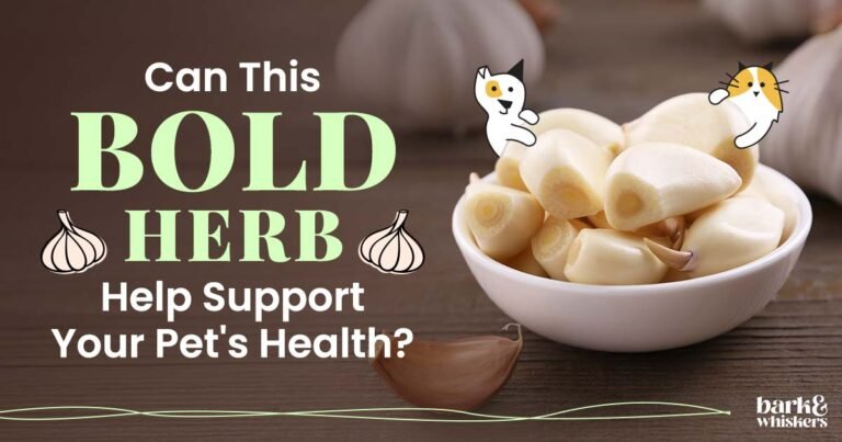 Is Garlic Good for Pets?