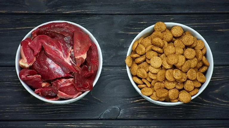 Pet Food Makers Don’t Want You to Worry About Protein Pet Food Makers Don't Want You to Worry About Protein