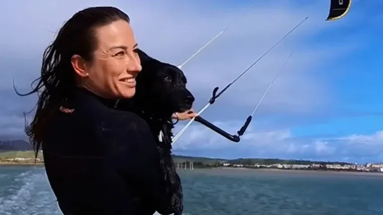 The Dog Who Loves Kite-Surfing The Dog Who Loves Kite-Surfing