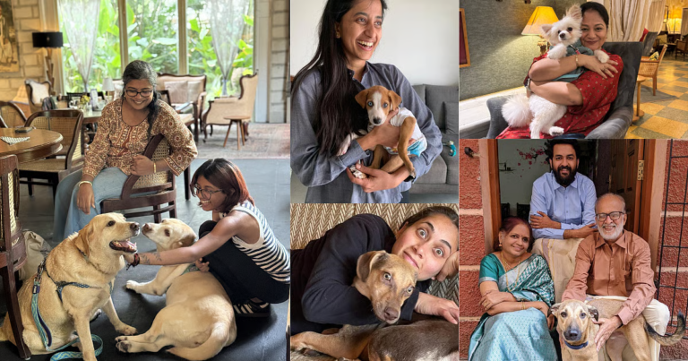The Instagram Rescue Changing Chennai Pet Adoption