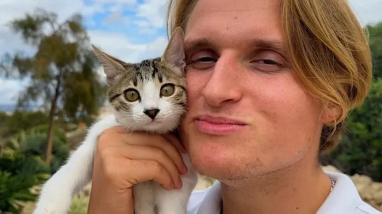 The Rescue Kitten Who Changed Everything The Rescue Kitten Who Changed Everything