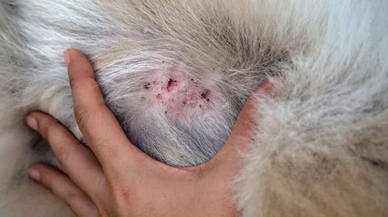 These Hard Skin Bumps Could Signal a Hidden Problem These Hard Skin Bumps Could Signal a Hidden Problem