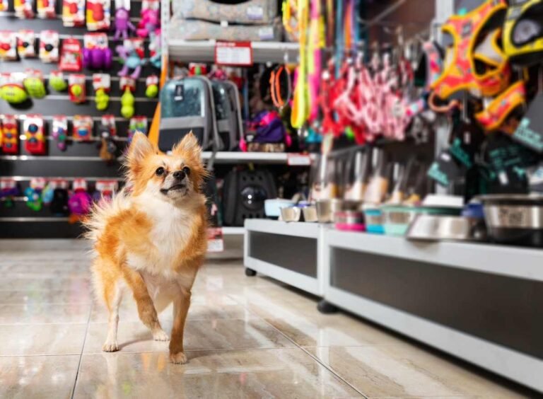 Where can I socialize my dog in Kansas City? Dog at pet store. Where can I socialize my dog in Kansas City?