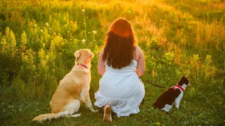 Why Your Pet Is One of the Best Things for Your Health Why Your Pet Is One of the Best Things for Your Health