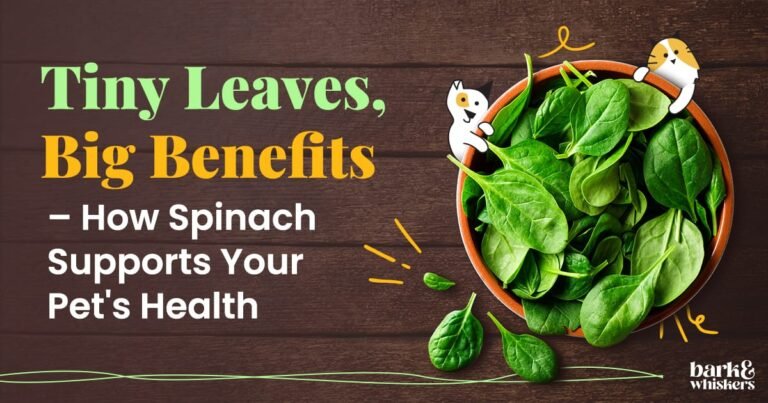 Can Pets Eat Spinach?