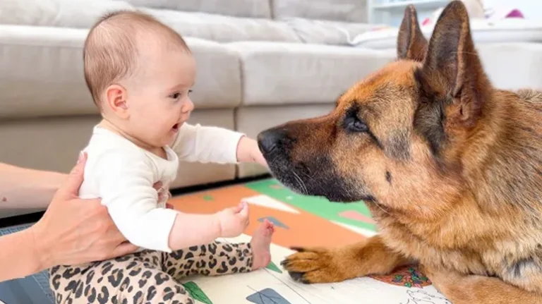 Her First Best Friend Has 4 Legs