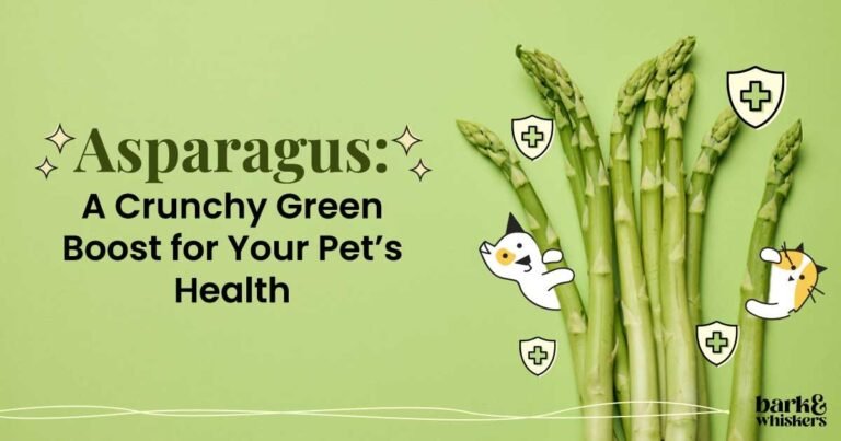 Is Asparagus Good for Pets? Is Asparagus Good for Pets?