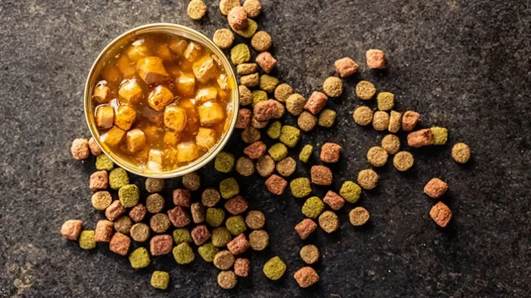 Pet Food Industry Is Cashing in on the Combination Feeding Fad Pet Food Industry Is Cashing in on the Combination Feeding Fad
