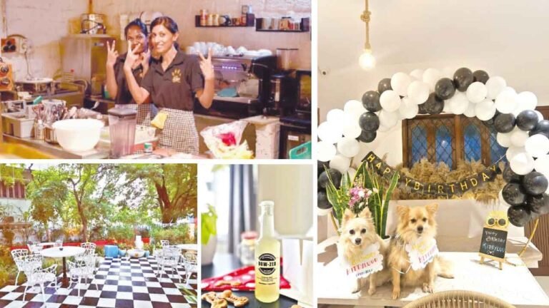 Pet-friendly cafes pop up in plush areas across city Pet-friendly cafes pop up in plush areas across city