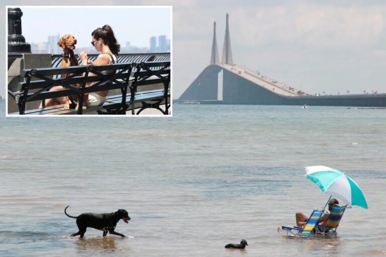 That's ruff! New York City ranks low on the pet-friendly scale