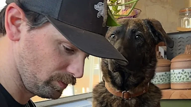 The Last Puppy Finally Chosen The Last Puppy Finally Chosen