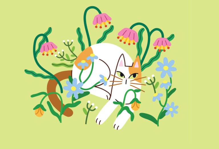 Tiny Cat Stories: Heartwarming Tales of the Cats Who Changed Everything Tiny Cat Stories: Heartwarming Tales of the Cats Who Changed Everything