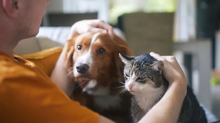 Who Will Care for Your Pet When You No Longer Can? Who Will Care for Your Pet When You No Longer Can?